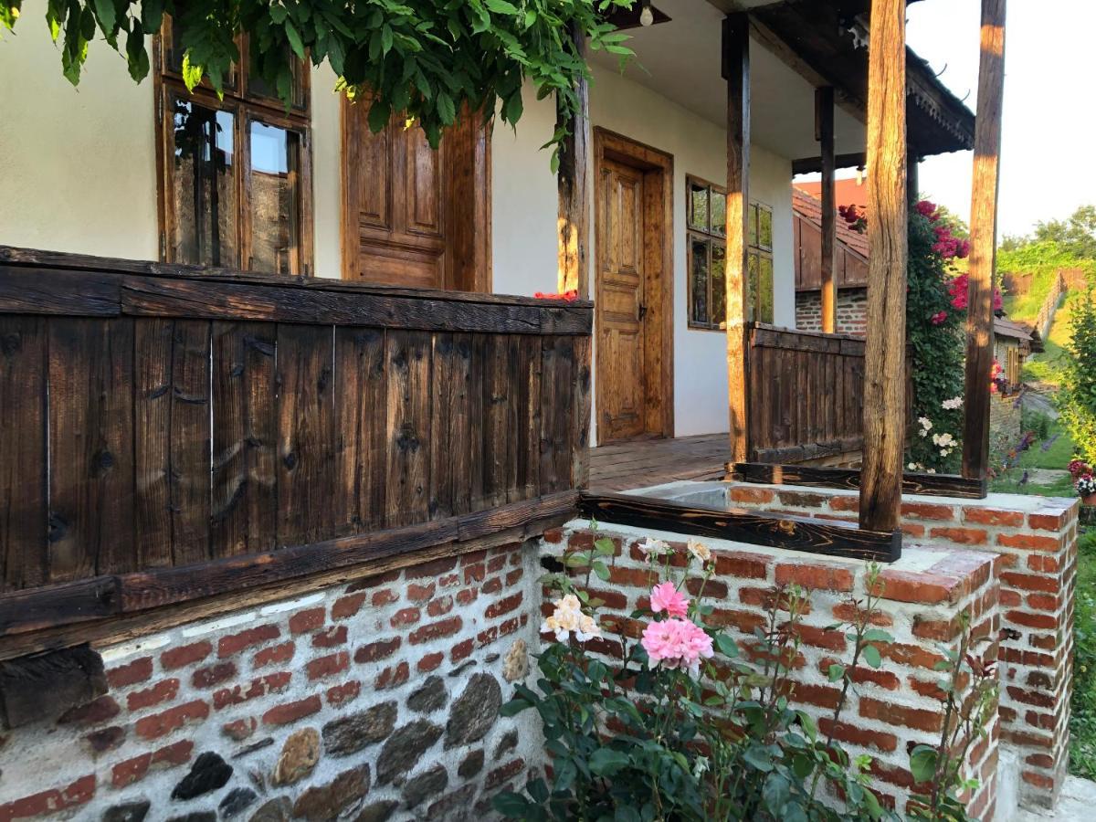 Villa Old Court Curtea de Argeş Esterno foto