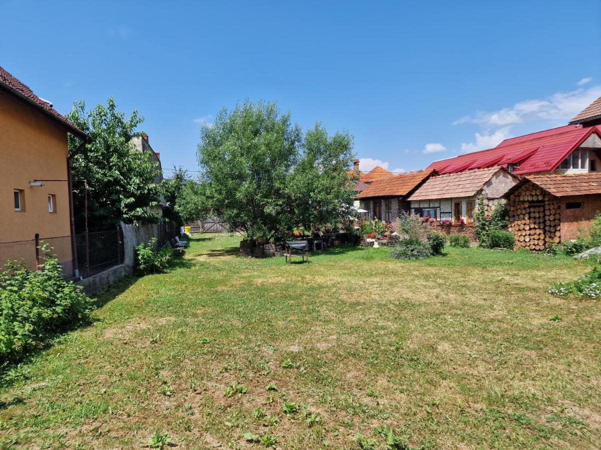 Villa Old Court Curtea de Argeş Esterno foto